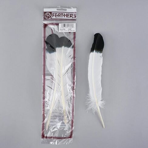 Turkey Quills Imitation Eagle - Black in Saudi Arabia