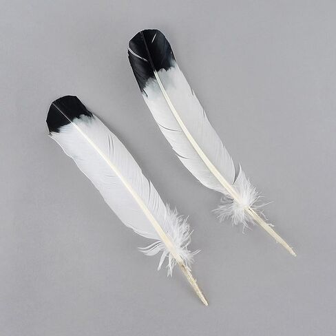 Turkey Quills Imitation Eagle - Black in Saudi Arabia