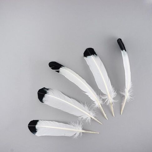 Turkey Quills Imitation Eagle - Black in Saudi Arabia