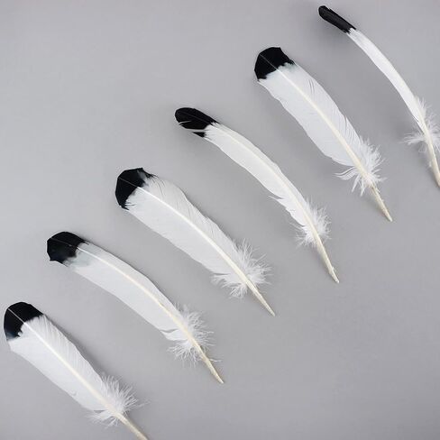 Turkey Quills Imitation Eagle - Black in Saudi Arabia