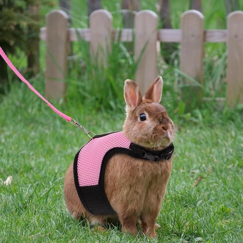 ibasenice 3pcs Rabbit Vest Harness Leash Set Soft Breathable Mesh Chest Strap for Small Pets Including Hamsters Guinea Pigs Ferrets – Pink S Black S Gray for Outdoor Walking in Saudi Arabia