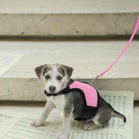 ibasenice 3pcs Rabbit Vest Harness Leash Set Soft Breathable Mesh Chest Strap for Small Pets Including Hamsters Guinea Pigs Ferrets – Pink S Black S Gray for Outdoor Walking in Saudi Arabia