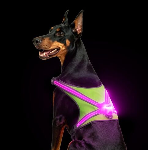 Xlife Light Up Dog Harness – Reflective Multicolored LED Vest Harness, Rechargeable, Rainproof, Adjustable, No Pull & Safe for Large Dogs for Night Walks, Hiking(L) in Kuwait