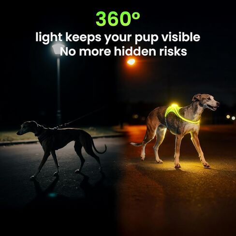 Xlife Light Up Dog Harness – Reflective Multicolored LED Vest Harness, Rechargeable, Rainproof, Adjustable, No Pull & Safe for Large Dogs for Night Walks, Hiking(L) in Saudi Arabia