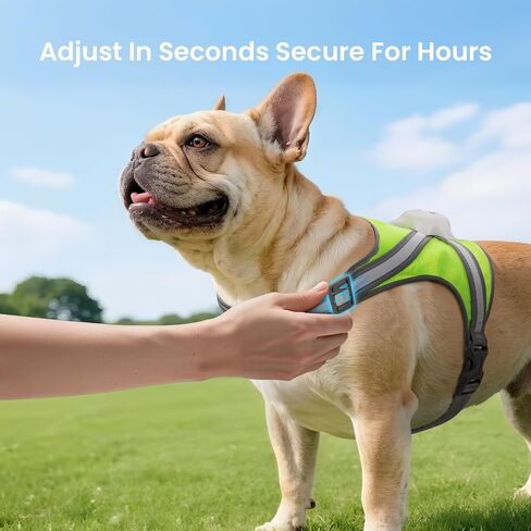 Xlife Light Up Dog Harness – Reflective Multicolored LED Vest Harness, Rechargeable, Rainproof, Adjustable, No Pull & Safe for Large Dogs for Night Walks, Hiking(L) in Saudi Arabia