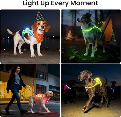 Xlife Light Up Dog Harness – Reflective Multicolored LED Vest Harness, Rechargeable, Rainproof, Adjustable, No Pull & Safe for Large Dogs for Night Walks, Hiking(L) in Saudi Arabia