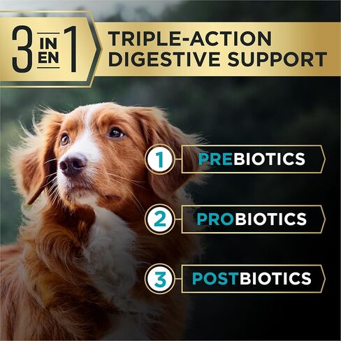 Purina Pro Plan AdvantEDGE Digestive Support Plus Salmon and Oat Meal Formula Adult Dry Dog Food - 12 lb Bag in Saudi Arabia