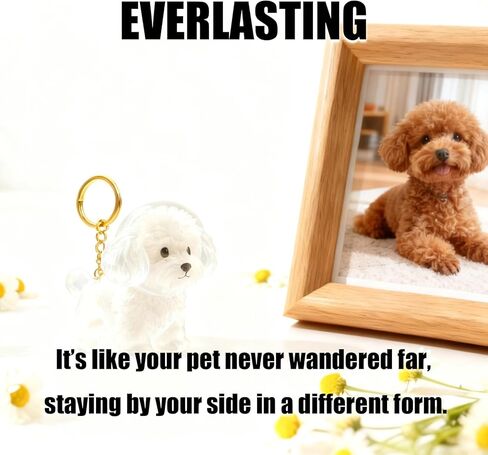 Dog Hair Collector Keychain Charm Memorial Storage Box,Memorial Gift for Pet Lovers,Transparent Pet Fur Keepsake Capsule,Cute Pet Hair Collection Bottle,Dog Hair Holder Keyring(Teddy) in Saudi Arabia