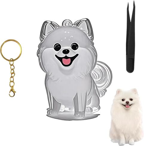 Dog Hair Collector Keychain Charm Memorial Storage Box,Memorial Gift for Pet Lovers,Transparent Pet Fur Keepsake Capsule,Cute Pet Hair Collection Bottle,Dog Hair Holder Keyring(Teddy) in Saudi Arabia