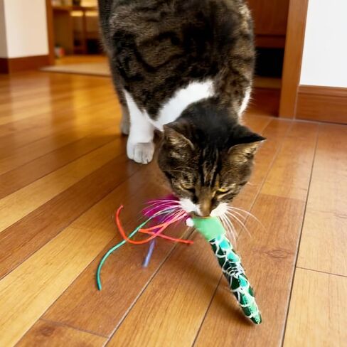 ألعاب القطط النعناع البري على شكل سمكة، 3 قطع من أصوات النعناع البري المجعدة، ناعمة ومتينة، أداة تفاعلية للقطط الصغيرة لتمرين القطط الصغيرة في الأماكن المغلقة in Kuwait