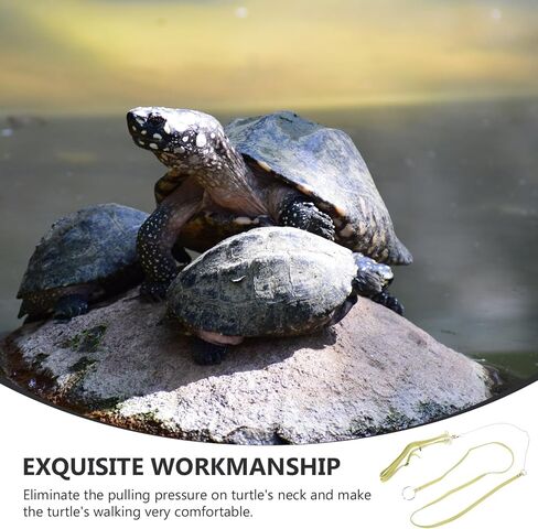 GALPADA Tortoise Harness Leash with Vest Adjustable Medium Green Turtle Pet Pulling Rope Outdoor Walking Control for Land Turtles in Saudi Arabia