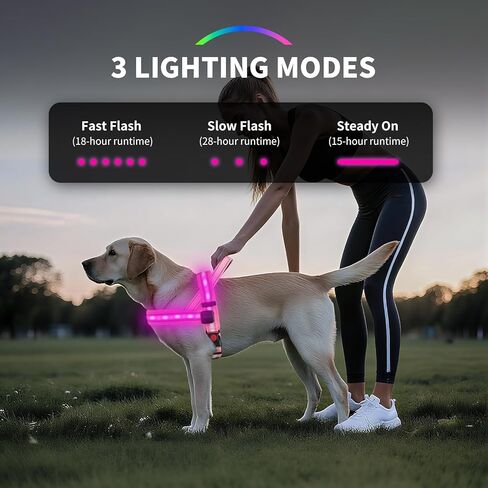 سرج للكلاب بإضاءة LED من PetIsay - قابل لإعادة الشحن عبر USB-C، مقاوم للماء بدرجة IPX7، عاكس للضوء، لا يسمح بالسحب مع مقبض مبطن ناعم للمشي ليلاً (أخضر، مقاس X-Large) in Kuwait