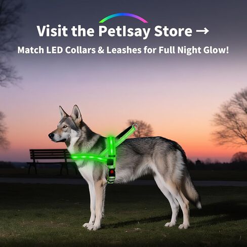 سرج للكلاب بإضاءة LED من PetIsay - قابل لإعادة الشحن عبر USB-C، مقاوم للماء بدرجة IPX7، عاكس للضوء، لا يسمح بالسحب مع مقبض مبطن ناعم للمشي ليلاً (أخضر، مقاس X-Large) in Kuwait