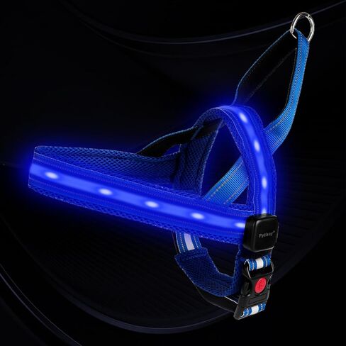 سرج للكلاب بإضاءة LED من PetIsay - قابل لإعادة الشحن عبر USB-C، مقاوم للماء بدرجة IPX7، عاكس للضوء، لا يسمح بالسحب مع مقبض مبطن ناعم للمشي ليلاً (أخضر، مقاس X-Large) in Kuwait