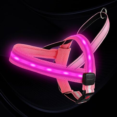 سرج للكلاب بإضاءة LED من PetIsay - قابل لإعادة الشحن عبر USB-C، مقاوم للماء بدرجة IPX7، عاكس للضوء، لا يسمح بالسحب مع مقبض مبطن ناعم للمشي ليلاً (أخضر، مقاس X-Large) in Kuwait