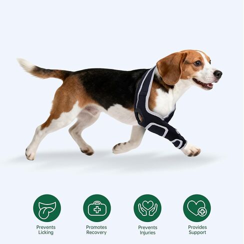 Aeegee Adjustable Dog Knee Brace for ACL tears and patellar Luxation, Providing Stable Support, Pain Relief, and Promoting Recovery, Suitable for Front and Rear Legs (M) in Kuwait