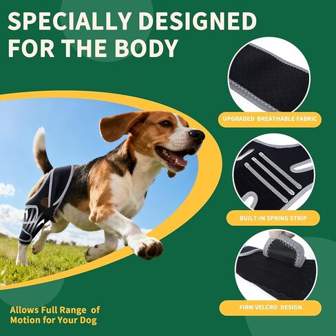 Aeegee Adjustable Dog Knee Brace for ACL tears and patellar Luxation, Providing Stable Support, Pain Relief, and Promoting Recovery, Suitable for Front and Rear Legs (M) in Kuwait
