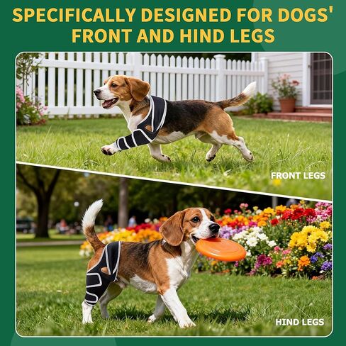 Aeegee Adjustable Dog Knee Brace for ACL tears and patellar Luxation, Providing Stable Support, Pain Relief, and Promoting Recovery, Suitable for Front and Rear Legs (M) in Kuwait