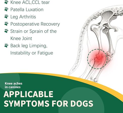 Aeegee Adjustable Dog Knee Brace for ACL tears and patellar Luxation, Providing Stable Support, Pain Relief, and Promoting Recovery, Suitable for Front and Rear Legs (M) in Kuwait