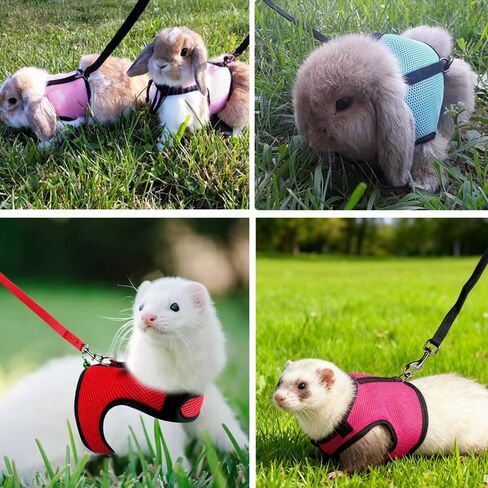 سرج أرنب مع مقود مقاوم للهروب، سترة شبكية ناعمة على شكل أرنب بإبزيم قابل للتعديل للهامستر الخنزير الغيني الذي يمشي على شكل حيوانات صغيرة للحيوانات الأليفة، أحمر L in Kuwait