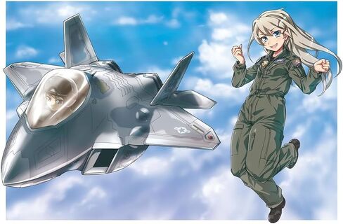 مجموعات بناء نموذج طائرة هاسيغاوا TH17 البيض F-22 رابتور in Saudi Arabia