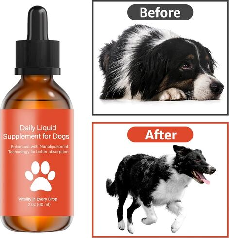 مكمل طول عمر الكلب NAD+ & NMN، Liposomal NAD Nicotinamide Riboside Resveratrol، صحة المفاصل والحيوية والشيخوخة الصحية، سهل تقديمه كل يوم - امتصاص أفضل، 60 مل in Kuwait