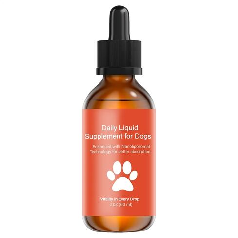 مكمل طول عمر الكلب NAD+ & NMN، Liposomal NAD Nicotinamide Riboside Resveratrol، صحة المفاصل والحيوية والشيخوخة الصحية، سهل تقديمه كل يوم - امتصاص أفضل، 60 مل in Kuwait