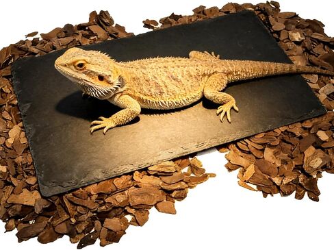 Bearded Dragon Basking Platform,9.8x6in Natural Reptile Heat Storage Slate Rock with Bark Substrate,Leopard Gecko Hides Climbing Tank Decor Accessories for Reptile,Lizard,Snake,Turtle,Snake in Saudi Arabia