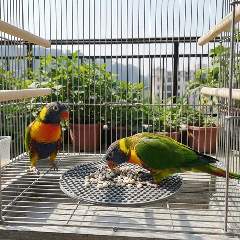 2 Pcs Bird Slow Feeder Mats, Interactive Foraging Mat, Extend Eating Time, Birds Toy for Parakeet, Cockatiel, African Grey, Conure (Blue & Grey) in Saudi Arabia