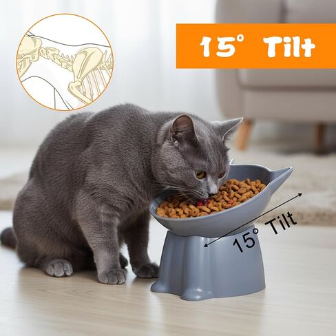 6Pcs Elevated Cat Bowls, 15°Raised Cat Food Bowl, Anti Vomiting Tilted Raised Whisker Friendly Cats Dishes, Plastic Pet Food and Water Bowls for Cats and Small Dogs in Saudi Arabia