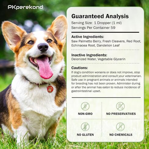 دعم صحة البروستاتا للكلاب، يخفف من تضخم البروستاتا، يدعم صحة المسالك البولية، التردد الطبيعي، يعزز صحة المناعة بشكل عام، مكمل عشبي طبيعي، 2 أونصة (59 مل) in Kuwait