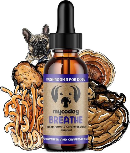 MycoDog قطرات تخفيف حساسية الكلاب للتنفس 2 فلوريدا. أوقية.: مقتطفات الفطر وصبغة اشواغاندا | دعم الجهاز التنفسي وتخفيف الحكة للكلاب | مزيج فطر تشاجا وريشي in Kuwait