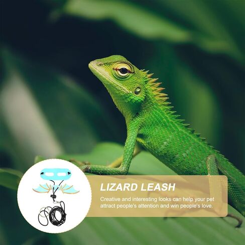 Luxshiny 5pcs Adjustable Blue Reptile Harness Leash Set with Wing Design for Small Lizards and Geckos, Lightweight Pet Traction Belt for Outdoor Walking and Travel in Kuwait