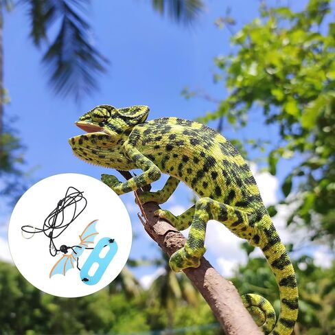 Luxshiny 5pcs Adjustable Blue Reptile Harness Leash Set with Wing Design for Small Lizards and Geckos, Lightweight Pet Traction Belt for Outdoor Walking and Travel in Kuwait