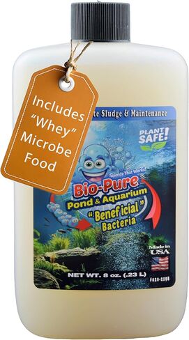 Bio-Pure Pond & Aquarium Beneficial Bacteria w/Deproteinized Whey (Microbe Nutrition) – 50/50 Dual-Action for Water Clarity + Bottom Waste – Natural Biological Cleaner for Ponds & Fish Tanks in Saudi Arabia