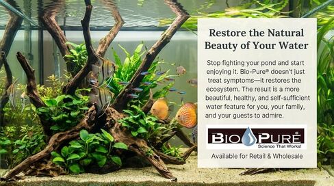Bio-Pure Pond & Aquarium Beneficial Bacteria w/Deproteinized Whey (Microbe Nutrition) – 50/50 Dual-Action for Water Clarity + Bottom Waste – Natural Biological Cleaner for Ponds & Fish Tanks in Saudi Arabia