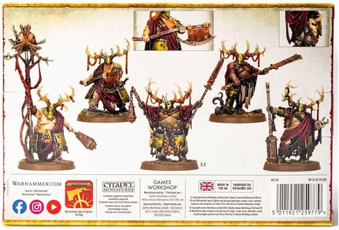 Warhammer Age of Sigmar Maggotkin of Nurgle Putrid Blightkings Multipart Plastic Miniatures Set in Saudi Arabia