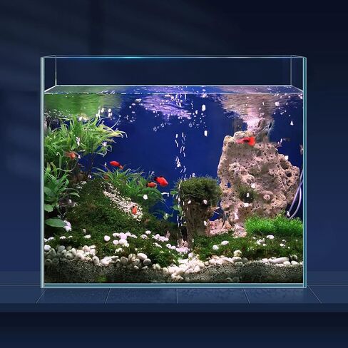 LAQUAL 10 Gallon Ultra Clear Glass Fish Tank, Rimless Low Iron Aquarium for Betta/Nano/Goldfish/Snail/Shrimp, Big Fish Tank & Cover Set & Feeding Ring & Cleaning Tools in Kuwait