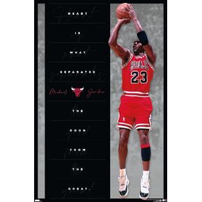 Trends International Michael Jordan - Heart Wall Poster, 14.72" x 22.37", Barnwood Framed Version