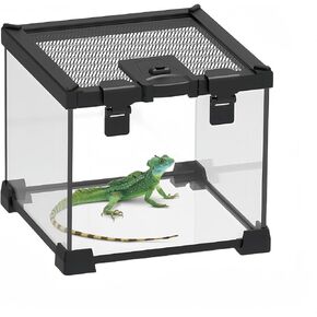 BNOSDM Mini Glass Reptile Tank,8" x 8" x 6" Reptiles Terrarium,Amphibians Enclosure Cage with Top Screen Ventilation Aquarium Habitat Tanks for Gecko Lizards Turtle Snake Frogs Spiders