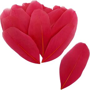 100pcs Small Black Goose Feathers 2-3 Inches for Crafts DIY Jewelry Wedding Party Decorations