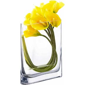 CYS EXCEL Glass Book Vase (H:6" Open:7"x2") | Multiple Size Choices Round Edge Oval Flower Vase | Rectangular Wedding Centerpiece Vases