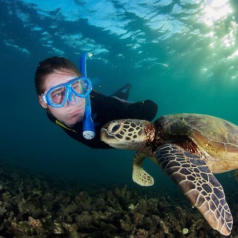 TUSA Sport Adult Splendive Mask and Snorkel Combo in Saudi Arabia