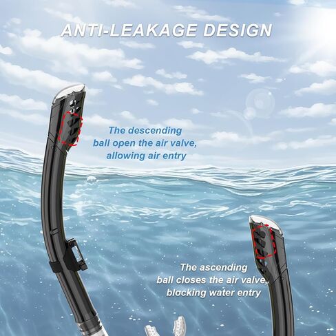 BuyCard عبوتان من معدات الغطس للبالغين، قناع الغطس الجاف، قناع الغطس، رؤية بانورامية واسعة 180 درجة، مجموعة الغطس الاحترافية للبالغين تتنفس بحرية (أسود وأسود شفاف) in Kuwait