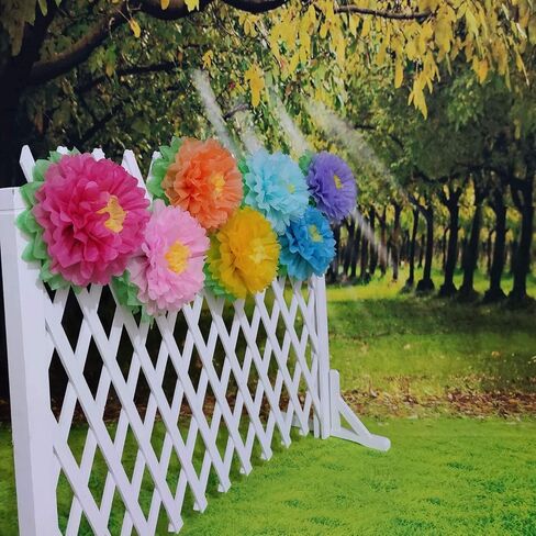 Tissue Paper Flowers Paper Pom Poms for Party Decorations Birthday Celebration Wedding and Outdoor Decoration - Set of 7 pcs (Rainbow) in Saudi Arabia