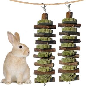 Chinchilla Treats Bunny Chew Toys for Rabbits Teeth Grinding,Organic Bamboo Sticks Natural Toys for Hamsters 2 Pack in Saudi Arabia