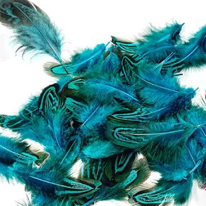 50PCS Teal Natural Feathers for DIY Craft, 2-3 Inches Blue Pheasant Plumage Feathers for Sewing Crafts Jewelry Clothing Scrapbooking Decor Accessories in Saudi Arabia