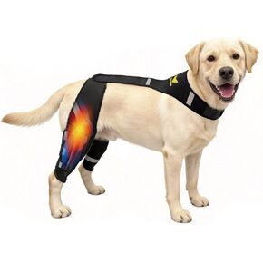 دعامة ركبة الكلب لعلاج تمزق الرباط الصليبي الأمامي والتعافي بعد الجراحة - دعم الساق الخلفية مع نظام حزام مزدوج حاصل على براءة اختراع وجبائر مرنة، يخفف آلام العرج والتهاب المفاصل للكلاب الصغيرة والمتوسطة (متوسطة) 15-40 رطل in Kuwait