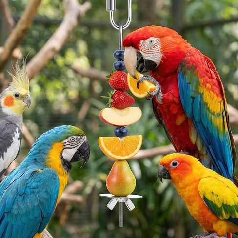 3 Pcs Bird Cage Food Holder, Stainless Steel Bird Foraging Toys, Birds Foraging Toys for Parakeets, Budgies, Macaws (3 Sizes) in Saudi Arabia
