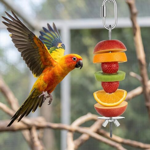 3 Pcs Bird Cage Food Holder, Stainless Steel Bird Foraging Toys, Birds Foraging Toys for Parakeets, Budgies, Macaws (3 Sizes) in Saudi Arabia